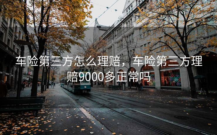 车险第三方怎么理赔，车险第三方理赔9000多正常吗