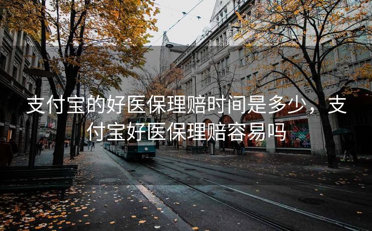 支付宝的好医保理赔时间是多少，支付宝好医保理赔容易吗