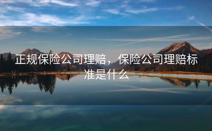 正规保险公司理赔，保险公司理赔标准是什么