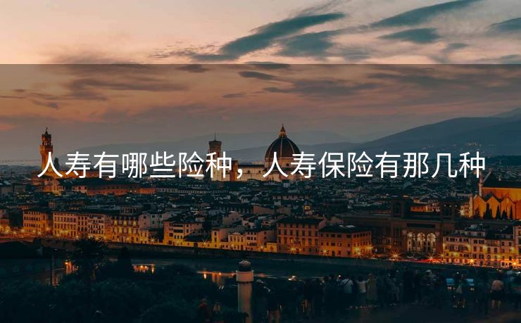 人寿有哪些险种，人寿保险有那几种