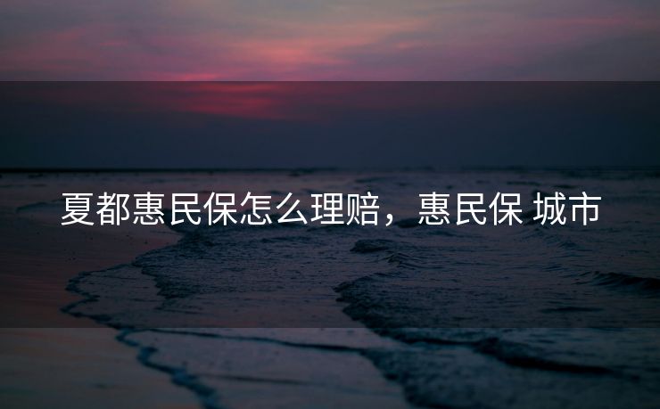 夏都惠民保怎么理赔，惠民保 城市