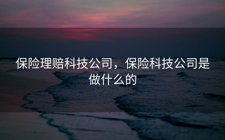 保险理赔科技公司，保险科技公司是做什么的