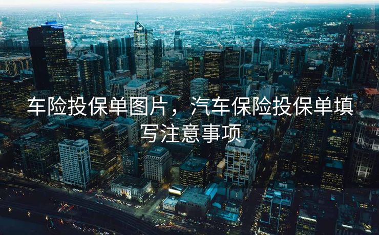 车险投保单图片，汽车保险投保单填写注意事项