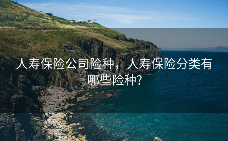 人寿保险公司险种，人寿保险分类有哪些险种?