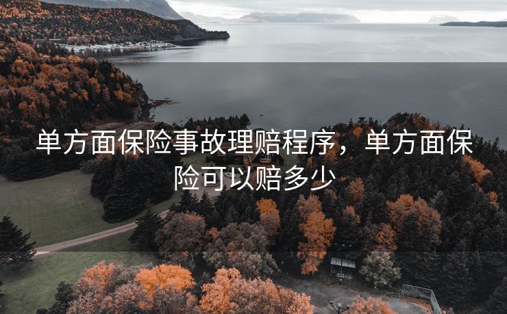 单方面保险事故理赔程序，单方面保险可以赔多少
