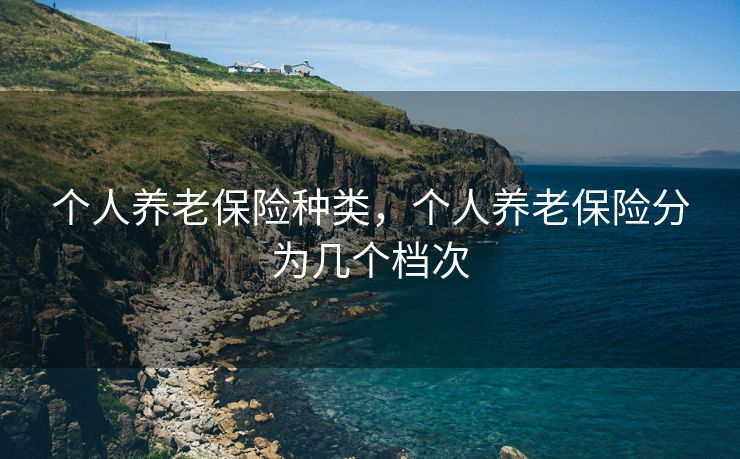 个人养老保险种类，个人养老保险分为几个档次