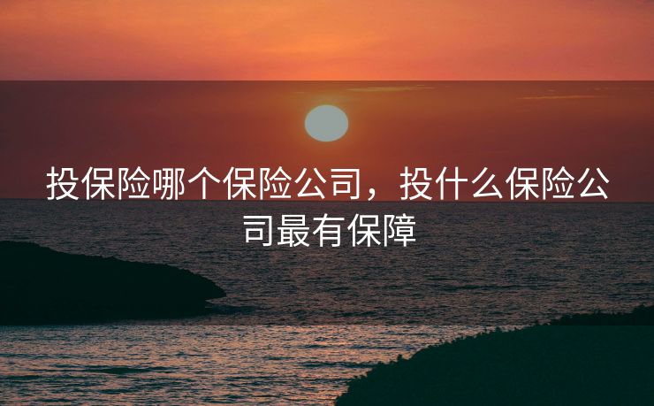 投保险哪个保险公司，投什么保险公司最有保障