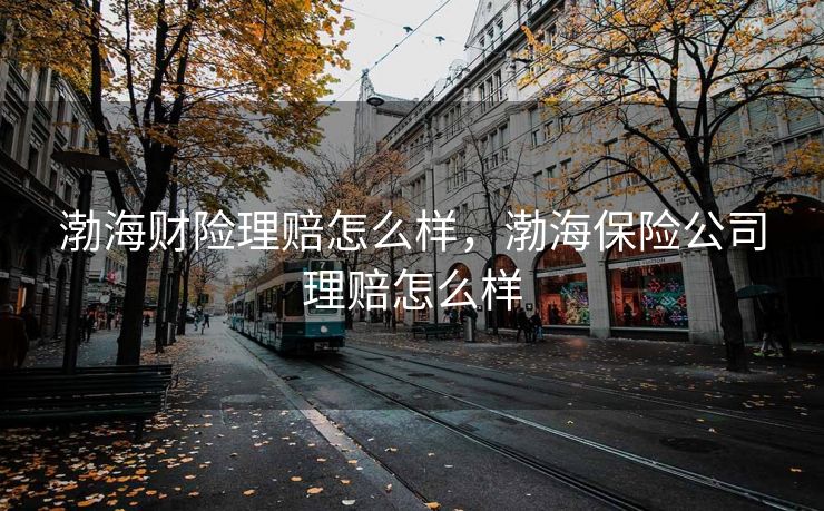 渤海财险理赔怎么样，渤海保险公司理赔怎么样
