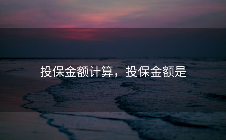 投保金额计算，投保金额是