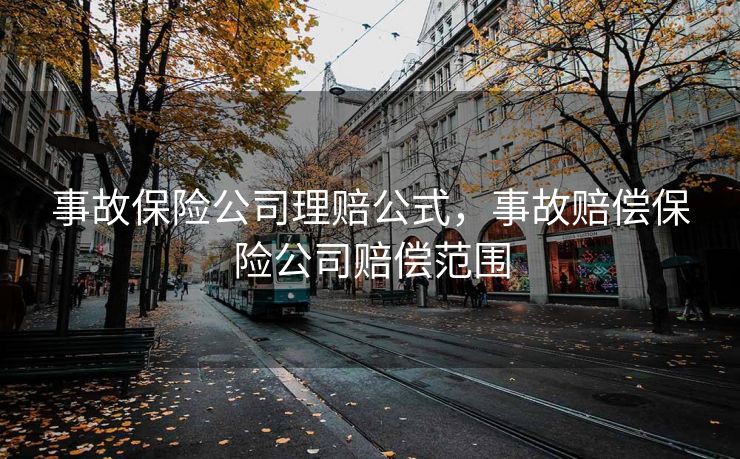 事故保险公司理赔公式，事故赔偿保险公司赔偿范围