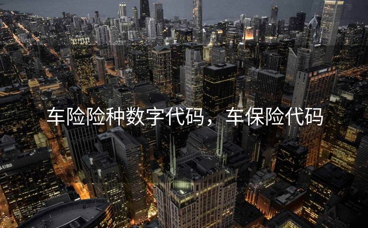 车险险种数字代码，车保险代码