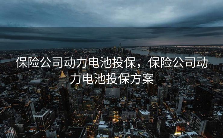 保险公司动力电池投保，保险公司动力电池投保方案