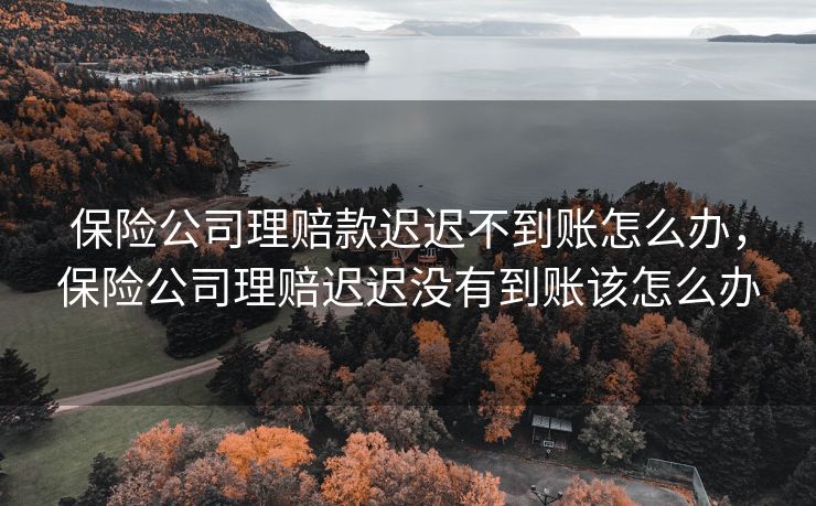 保险公司理赔款迟迟不到账怎么办，保险公司理赔迟迟没有到账该怎么办