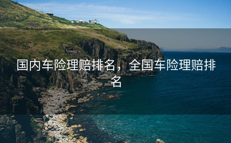 国内车险理赔排名，全国车险理赔排名
