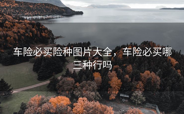 车险必买险种图片大全，车险必买哪三种行吗