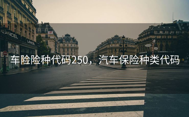 车险险种代码250，汽车保险种类代码