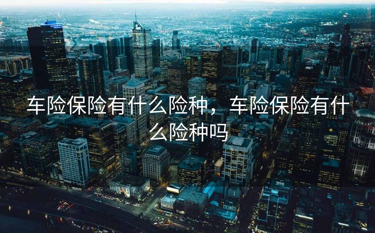 车险保险有什么险种，车险保险有什么险种吗