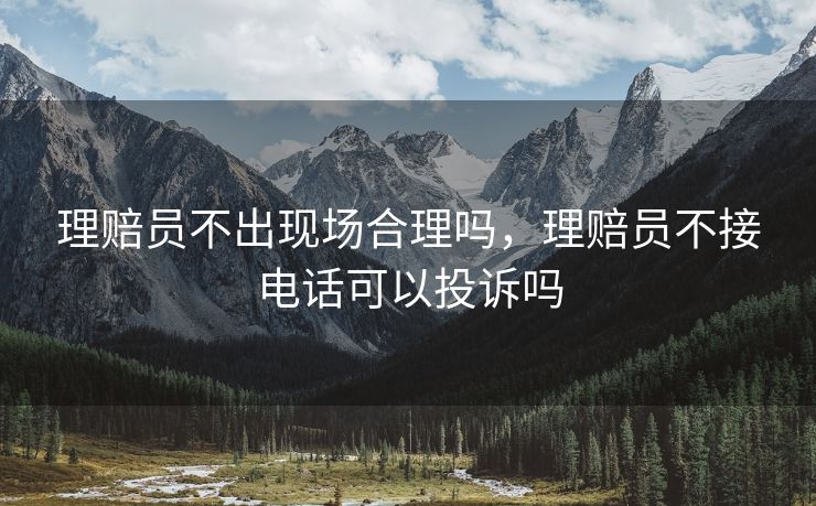 理赔员不出现场合理吗，理赔员不接电话可以投诉吗