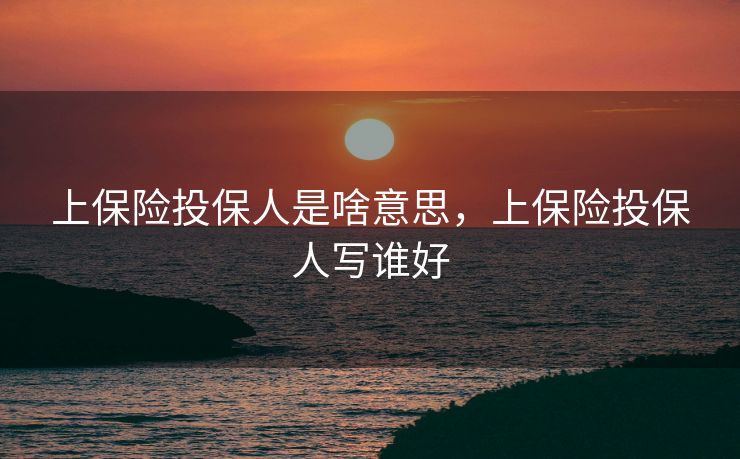 上保险投保人是啥意思，上保险投保人写谁好