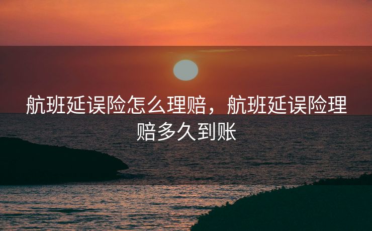 航班延误险怎么理赔，航班延误险理赔多久到账