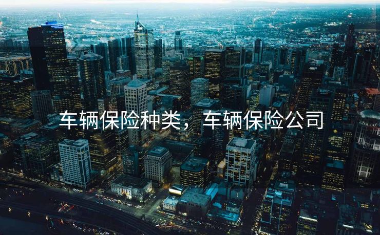 车辆保险种类，车辆保险公司