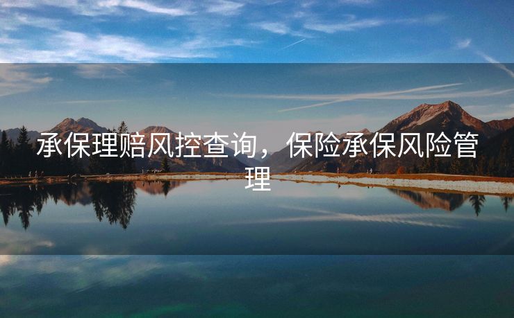 承保理赔风控查询，保险承保风险管理