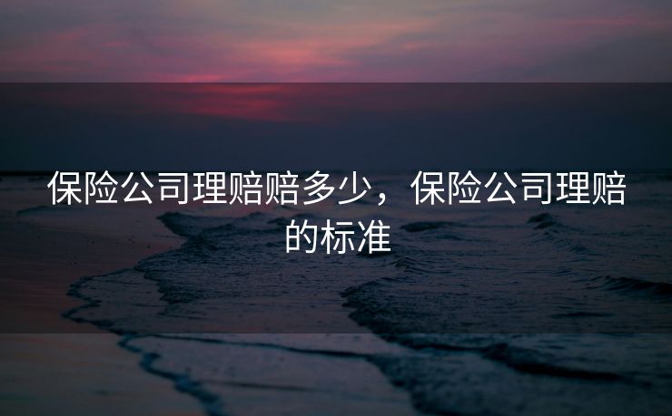 保险公司理赔赔多少，保险公司理赔的标准