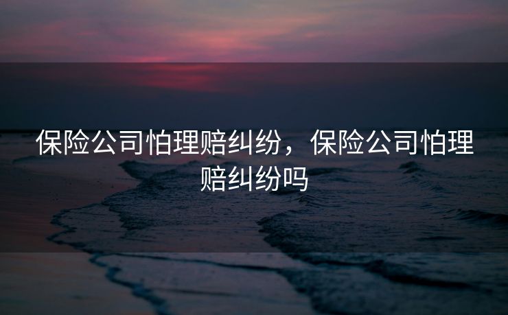 保险公司怕理赔纠纷，保险公司怕理赔纠纷吗