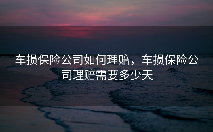 车损保险公司如何理赔,车损保险公司理赔需要多少天 车损保险公司如何理赔,车损保险公司理赔需要多少天