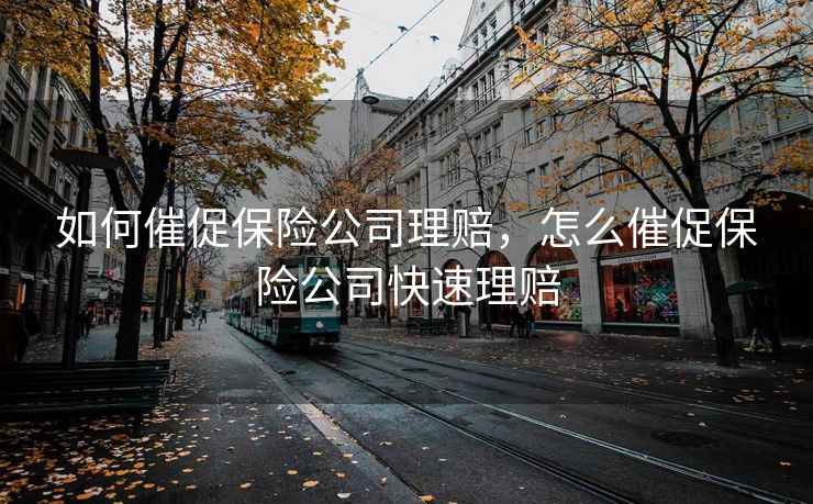 如何催促保险公司理赔，怎么催促保险公司快速理赔