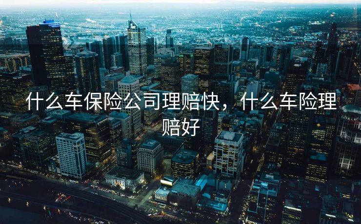 什么车保险公司理赔快，什么车险理赔好
