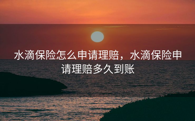 水滴保险怎么申请理赔，水滴保险申请理赔多久到账