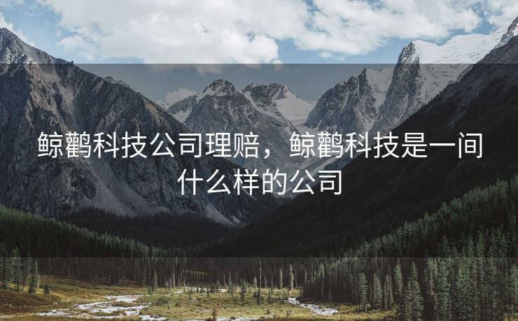 鲸鹳科技公司理赔，鲸鹳科技是一间什么样的公司