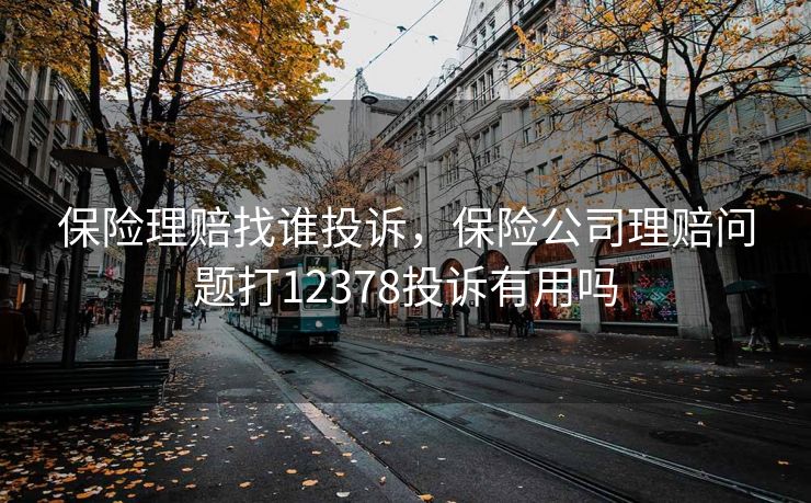保险理赔找谁投诉，保险公司理赔问题打12378投诉有用吗