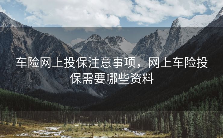 车险网上投保注意事项，网上车险投保需要哪些资料