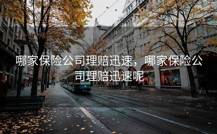 哪家保险公司理赔迅速，哪家保险公司理赔迅速呢