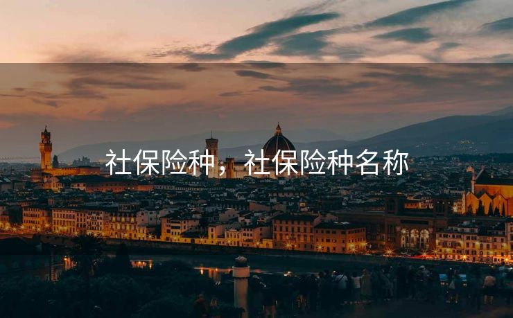 社保险种，社保险种名称
