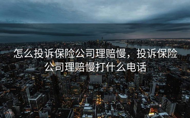 怎么投诉保险公司理赔慢，投诉保险公司理赔慢打什么电话