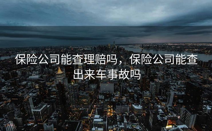 保险公司能查理赔吗,保险公司能查出来车事故吗 保险公司能查理赔吗,保险公司能查出来车事故吗