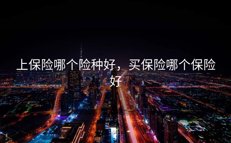 上保险哪个险种好，买保险哪个保险好