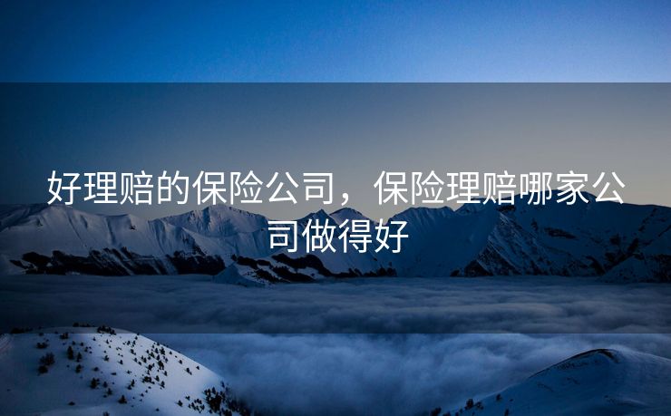 好理赔的保险公司，保险理赔哪家公司做得好