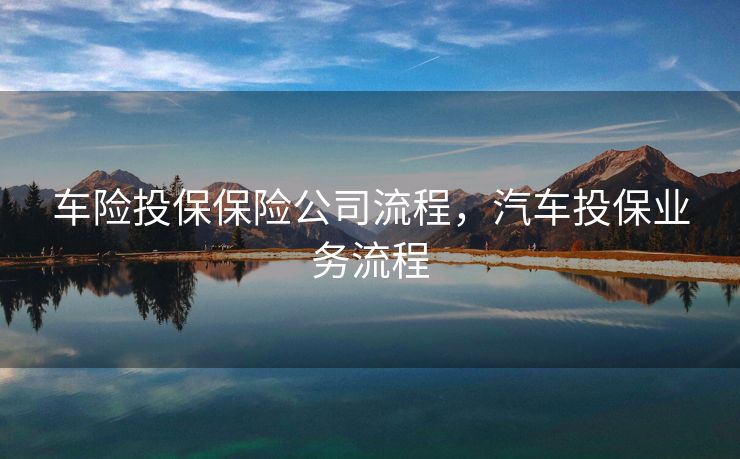 车险投保保险公司流程，汽车投保业务流程