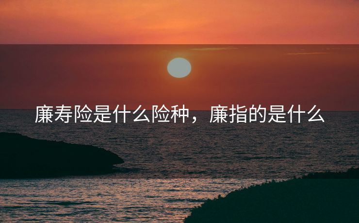 廉寿险是什么险种，廉指的是什么