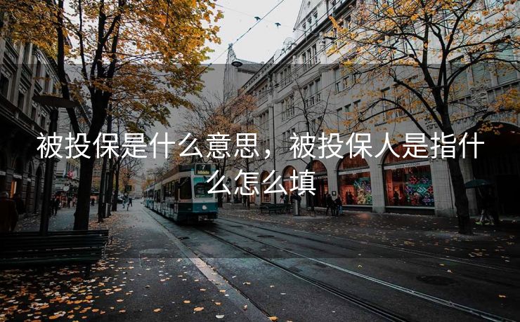 被投保是什么意思，被投保人是指什么怎么填