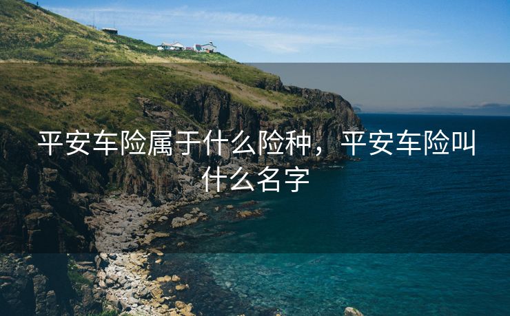 平安车险属于什么险种，平安车险叫什么名字