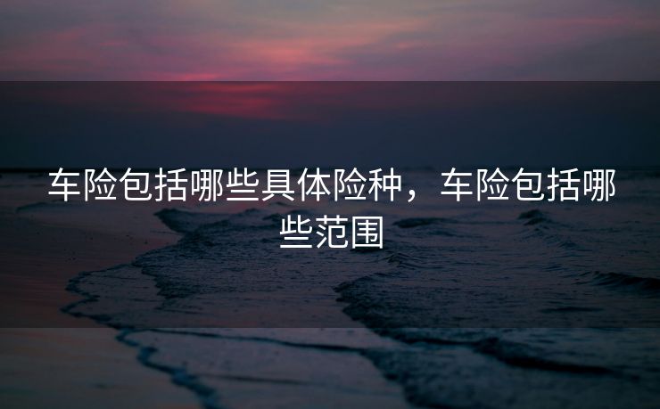 车险包括哪些具体险种，车险包括哪些范围