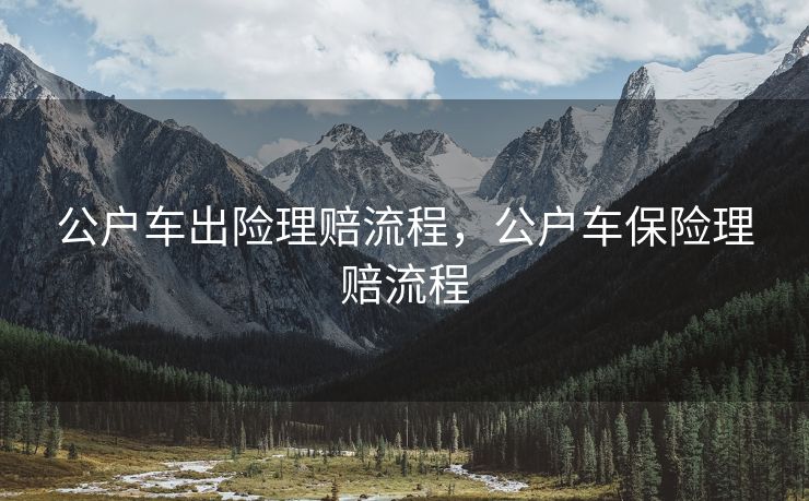 公户车出险理赔流程，公户车保险理赔流程