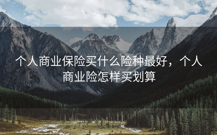 个人商业保险买什么险种最好，个人商业险怎样买划算