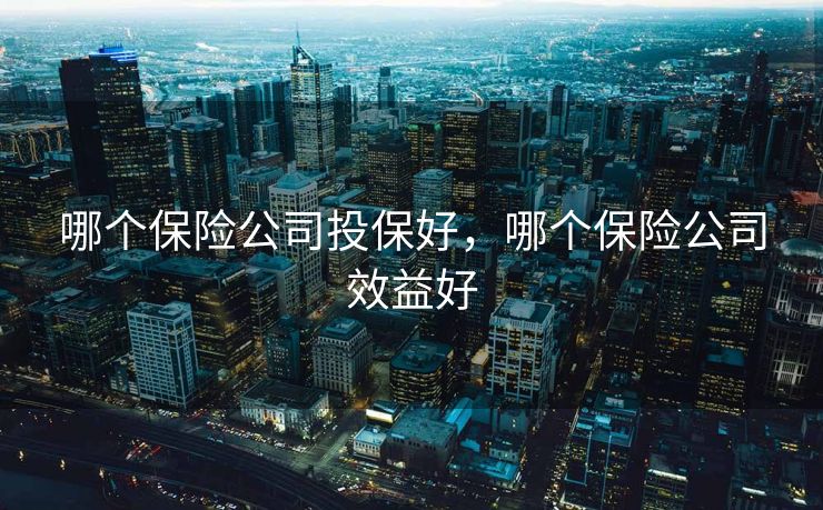 哪个保险公司投保好,哪个保险公司效益好 哪个保险公司投保好,哪个保险公司效益好