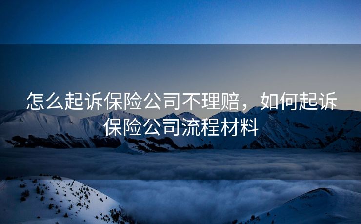 怎么起诉保险公司不理赔，如何起诉保险公司流程材料